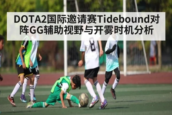 DOTA2国际邀请赛Tidebound对阵GG辅助视野与开雾时机分析